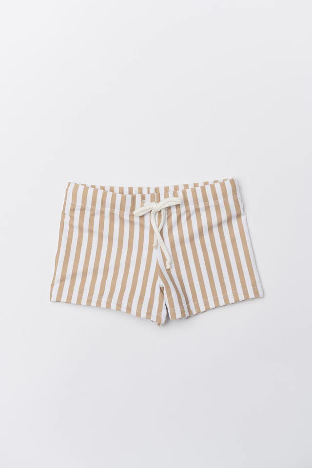 Dante Striped Swim Trunks